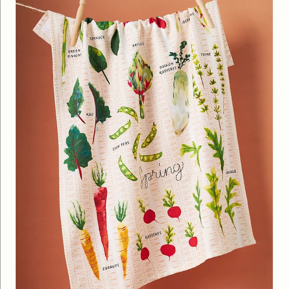 Spring Food Dish Towel